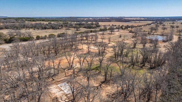 1906 Coleman Ranch Rd, Tolar, TX 76476 - bird's eye view with a rural view