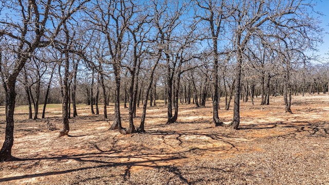 1906 Coleman Ranch Rd, Tolar, TX 76476 - view of landscape