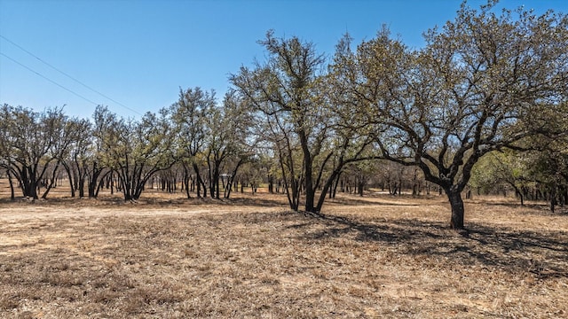 1906 Coleman Ranch Rd, Tolar, TX 76476 - view of nature