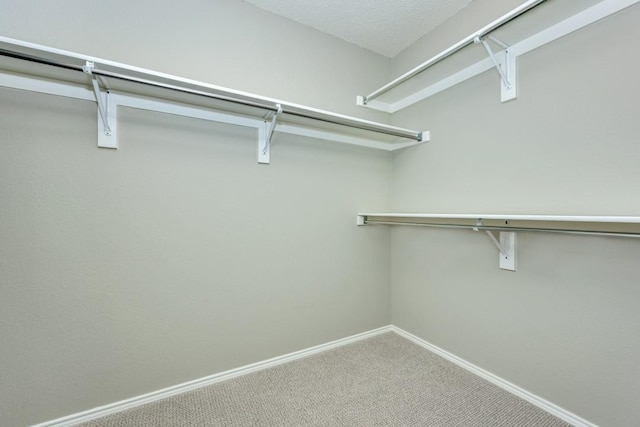 walk in closet featuring carpet floors