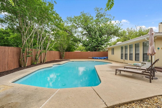 view of swimming pool with a patio, a fenced in pool, and a fenced backyard
