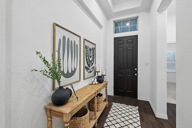 foyer entrance featuring baseboards and dark wood finished floors