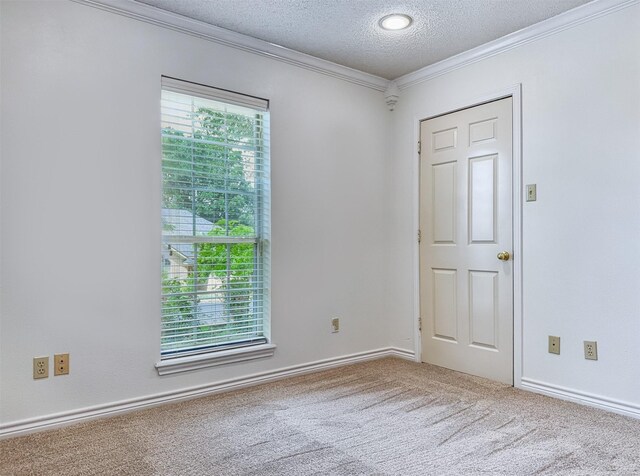 carpeted spare room featuring baseboards, a textured ceiling, ornamental molding, and a healthy amount of sunlight