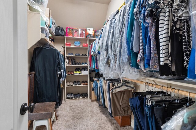 walk in closet featuring carpet