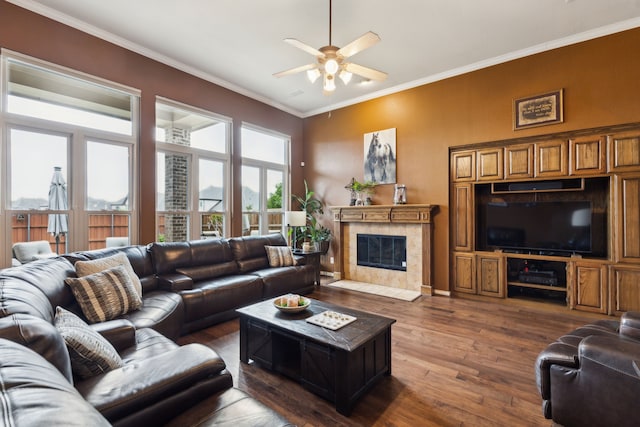 401 Willow Run, Prosper, TX 75078 - living area with ceiling fan, dark wood-style flooring, crown molding, and a tiled fireplace