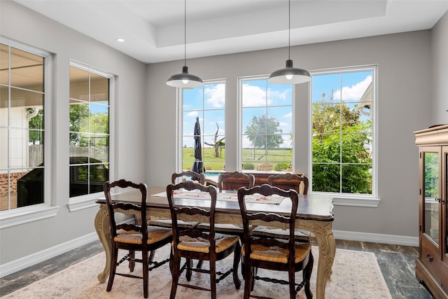 dining area with baseboards, a healthy amount of sunlight, and a tray ceiling