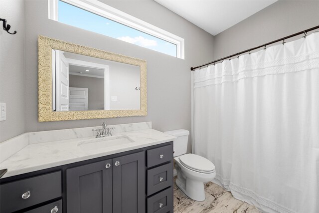 full bath featuring toilet and vanity
