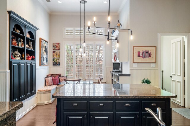 kitchen featuring dark cabinets, a wainscoted wall, and wood finished floors