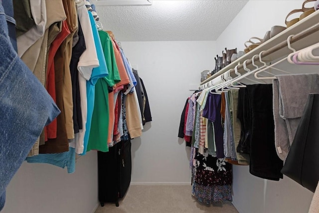walk in closet with carpet floors