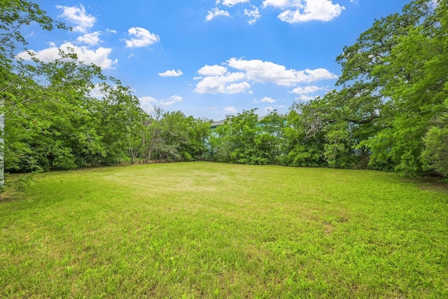 view of yard featuring a view of trees