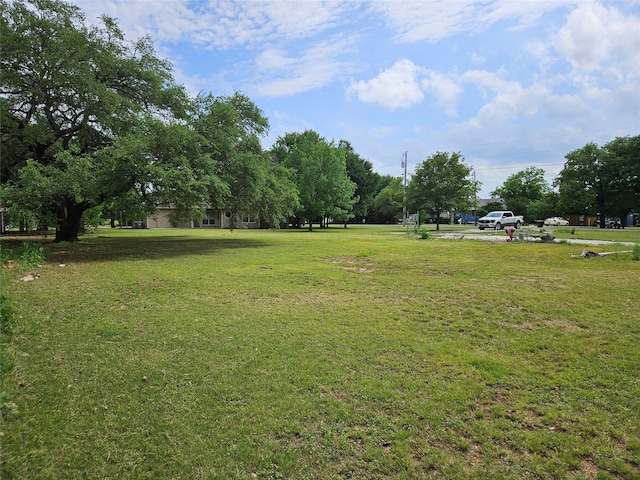 view of yard