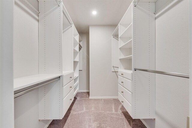 walk in closet with carpet flooring