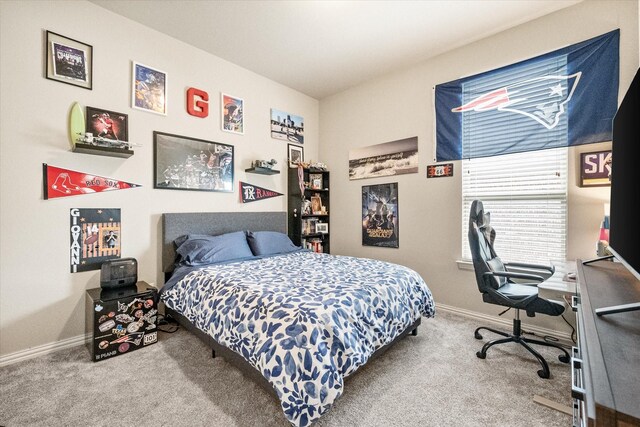 bedroom with baseboards and carpet