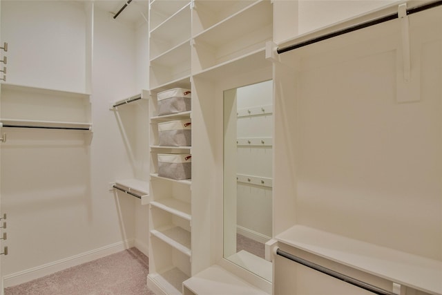walk in closet with light colored carpet