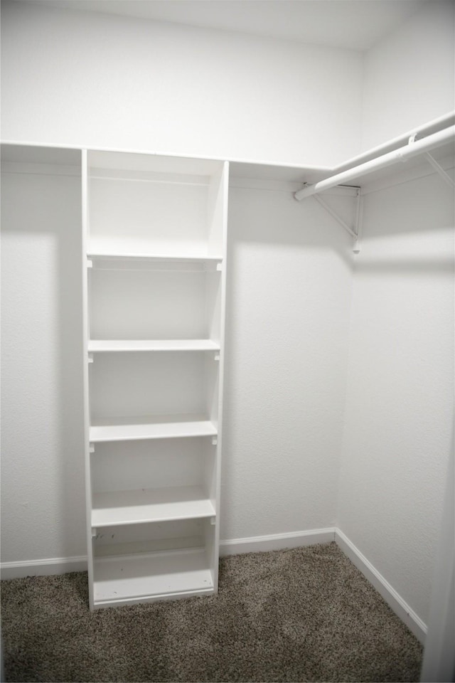 148 E Marguerita Dr, Garland, TX 75040 - home office featuring carpet flooring and baseboards