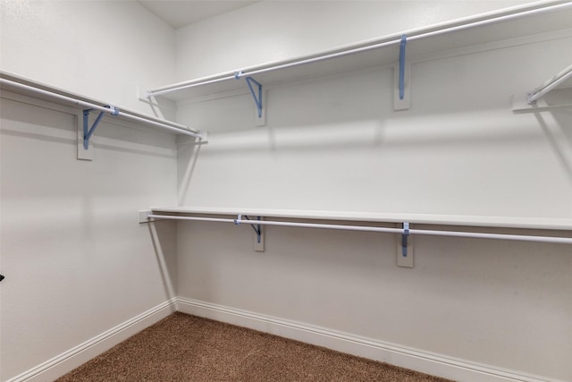 spacious closet with dark colored carpet