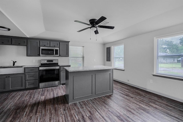 kitchen featuring a sink, dark wood finished floors, a wealth of natural light, and stainless steel appliances