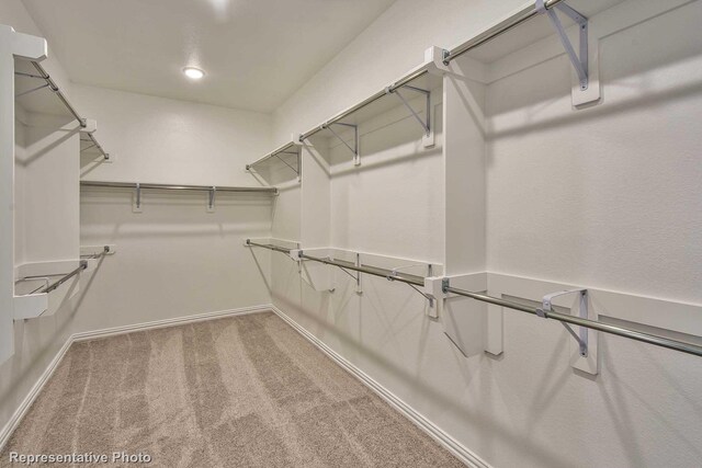 walk in closet with carpet floors