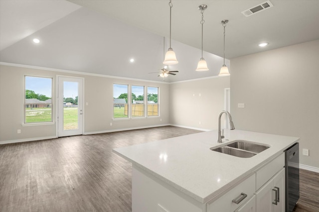 343 Preston Rd, Mabank, TX 75147 - kitchen with a sink, dark wood finished floors, baseboards, stainless steel dishwasher, and visible vents