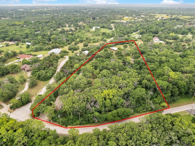 bird's eye view with a forest view