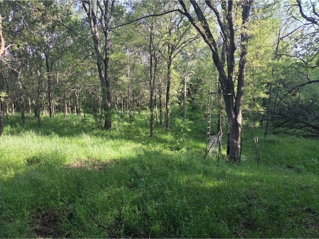 14109 County Road 2210, Wortham, TX 76693