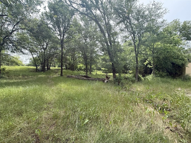 14109 County Road 2210, Wortham, TX 76693