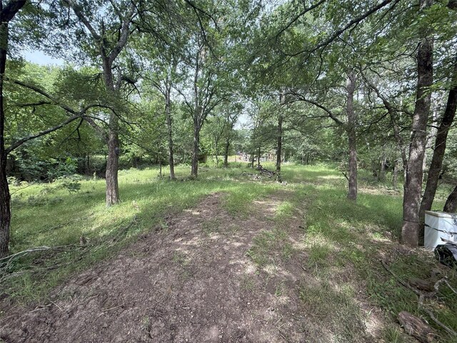 14109 County Road 2210, Wortham, TX 76693