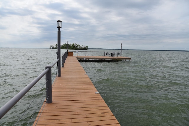 dock area with a water view