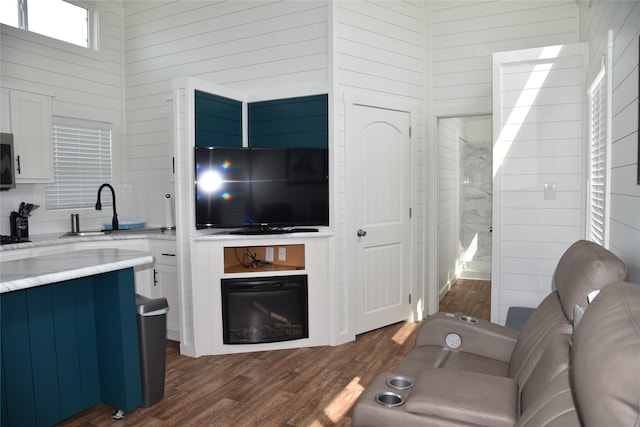 living area with a glass covered fireplace, wooden walls, and dark wood-type flooring
