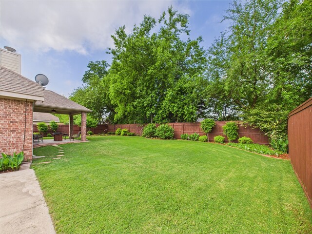 view of yard featuring a fenced backyard and a patio area