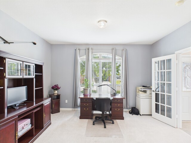 office featuring light carpet