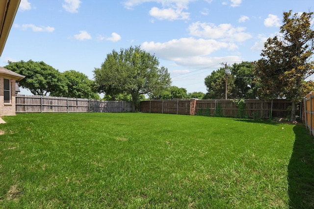 4610 Bluebird Ln, Mansfield, TX 76063 - view of yard