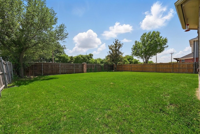 4610 Bluebird Ln, Mansfield, TX 76063 - view of yard