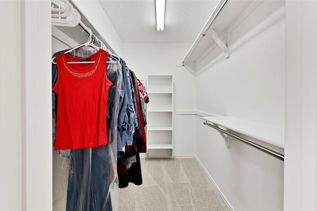 spacious closet with carpet flooring