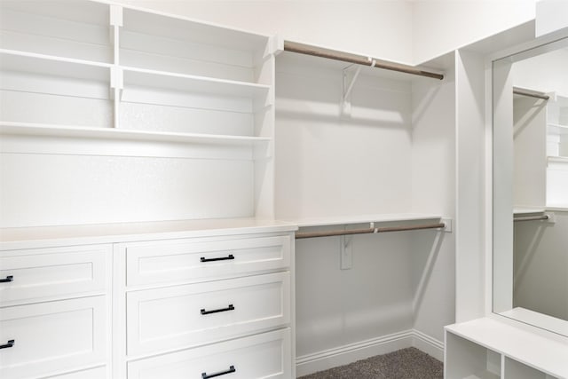 view of walk in closet
