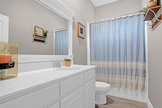 bathroom featuring wood finished floors, toilet, and vanity