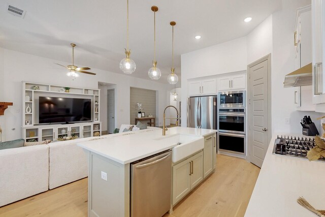 kitchen featuring light wood-style floors, a sink, open floor plan, and stainless steel appliances