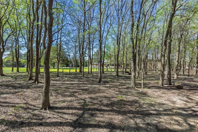 view of nature