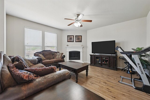 living room with a fireplace, a ceiling fan, and light wood finished floors