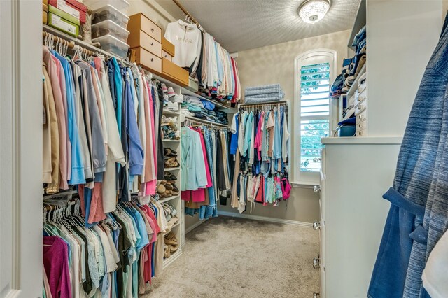 walk in closet featuring carpet flooring