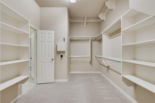 spacious closet with carpet
