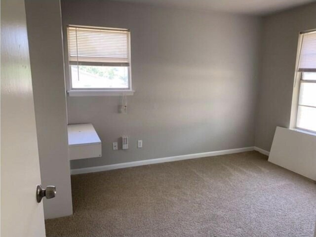 empty room with baseboards and carpet flooring