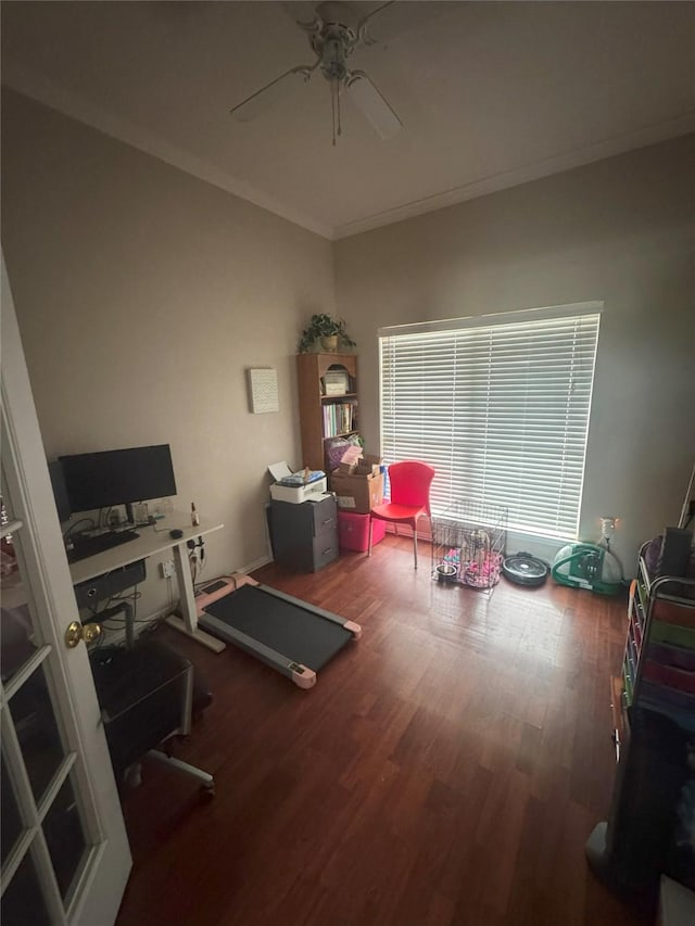 office area with crown molding, a ceiling fan, and wood finished floors