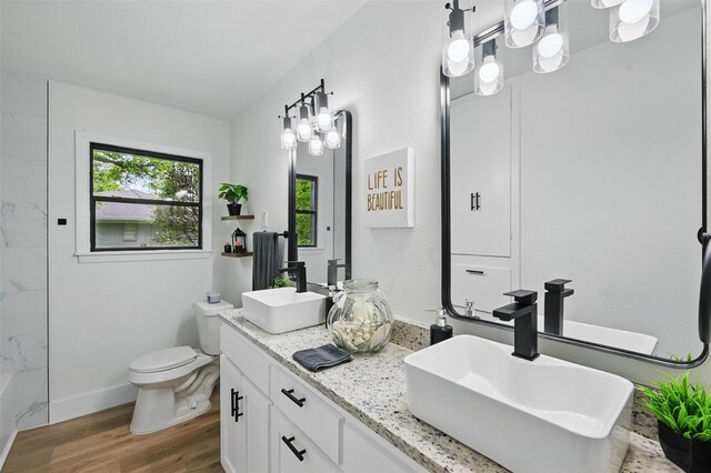 bathroom with double vanity, toilet, a sink, and wood finished floors