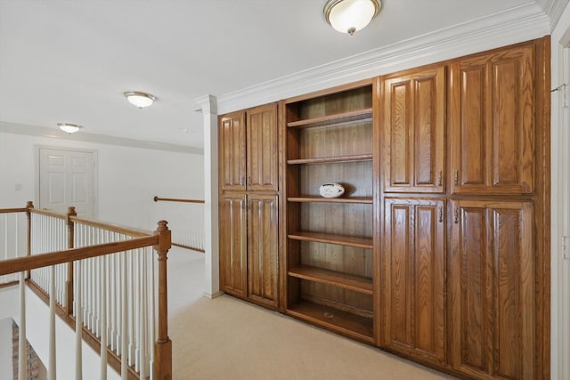 8913 Sunrise Point Ct, Fort Worth, TX 76135 - hallway with an upstairs landing, light colored carpet, and crown molding