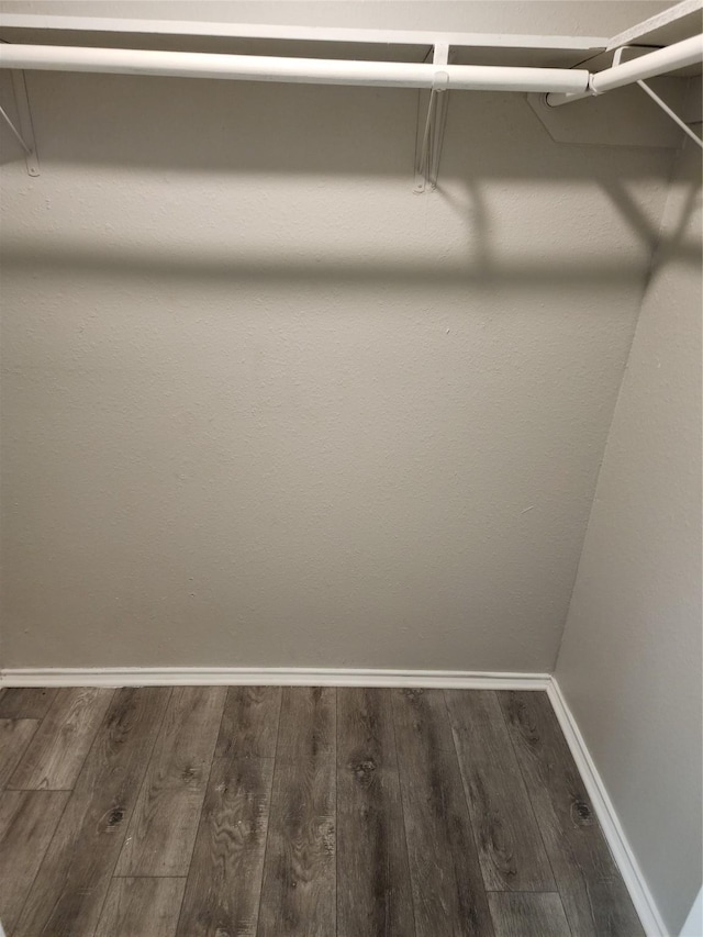 spacious closet with dark wood finished floors