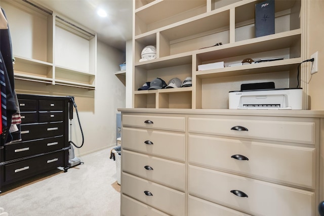 spacious closet with light carpet