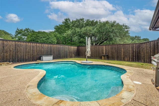 view of swimming pool featuring a fenced in pool and a fenced backyard