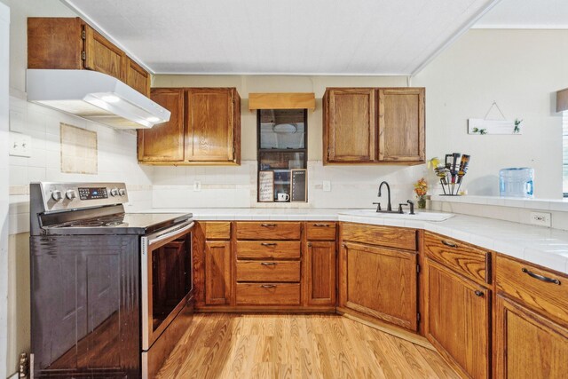 kitchen featuring under cabinet range hood, electric range, a sink, and light wood-style flooring