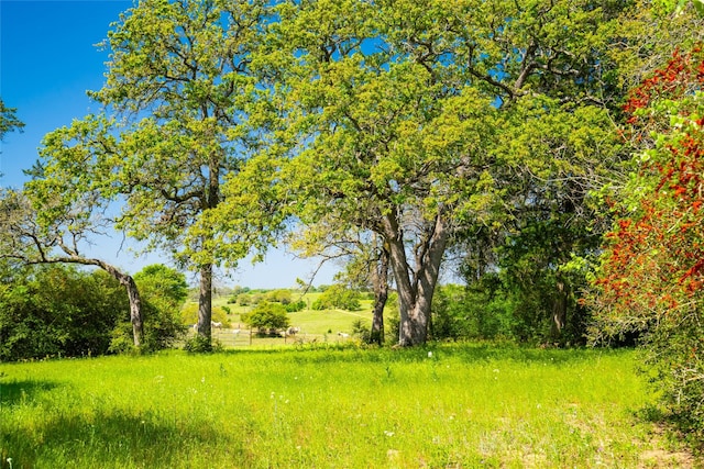 9002 County Road 374, Caldwell, TX 77836